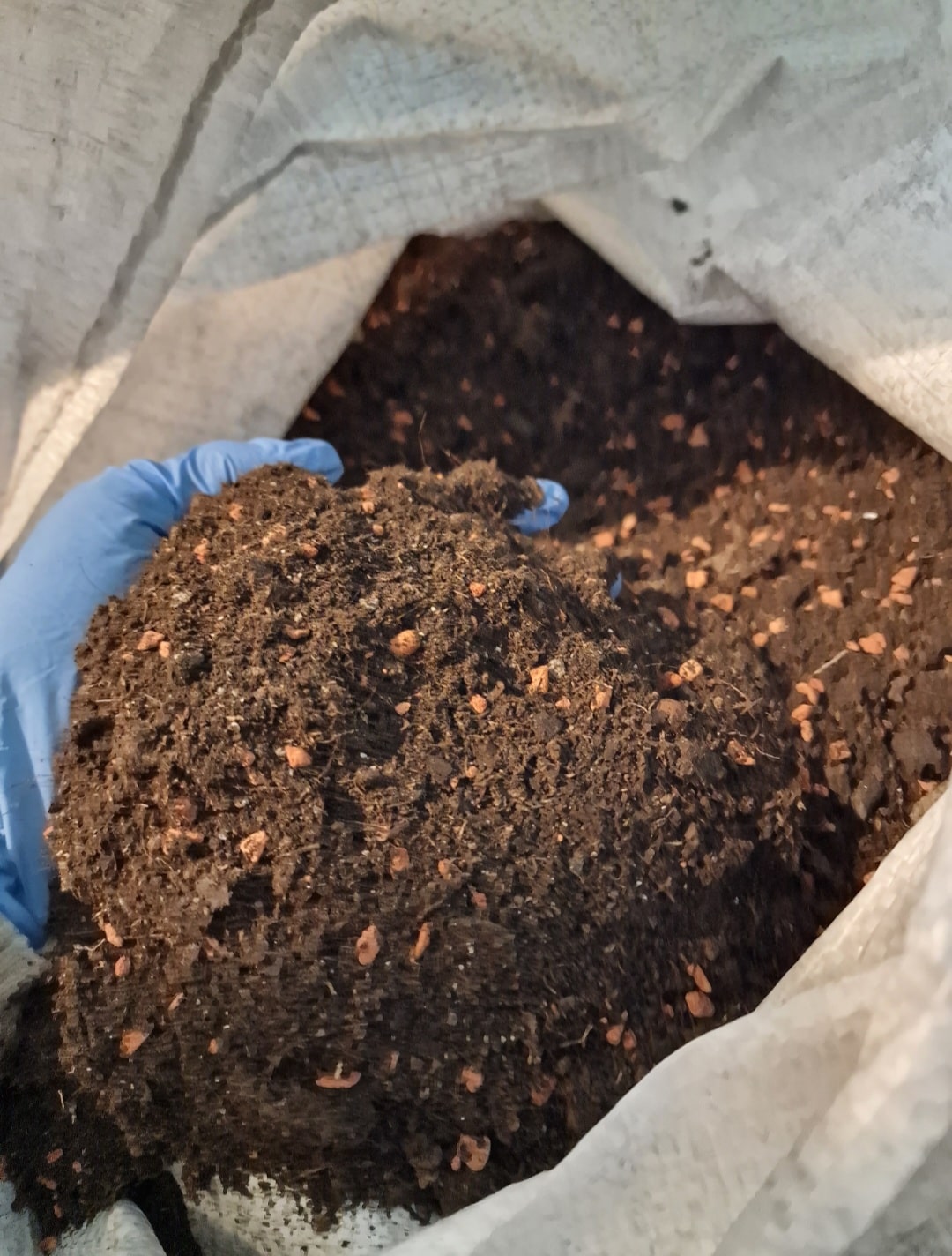 Premium Living Soil - Water Only