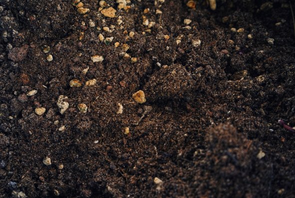 Das Beste Substrat für Dein Living Soil - TRUESOIL