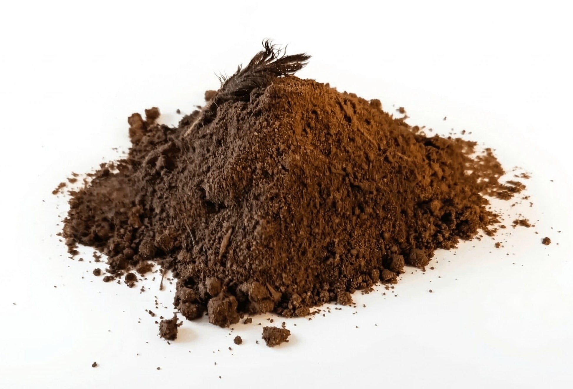 Seevogel Guano