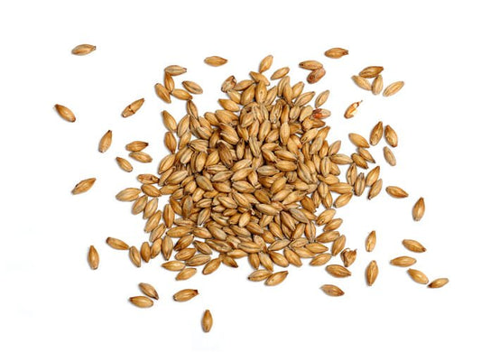 Malted Barley Meal - TRUESOIL