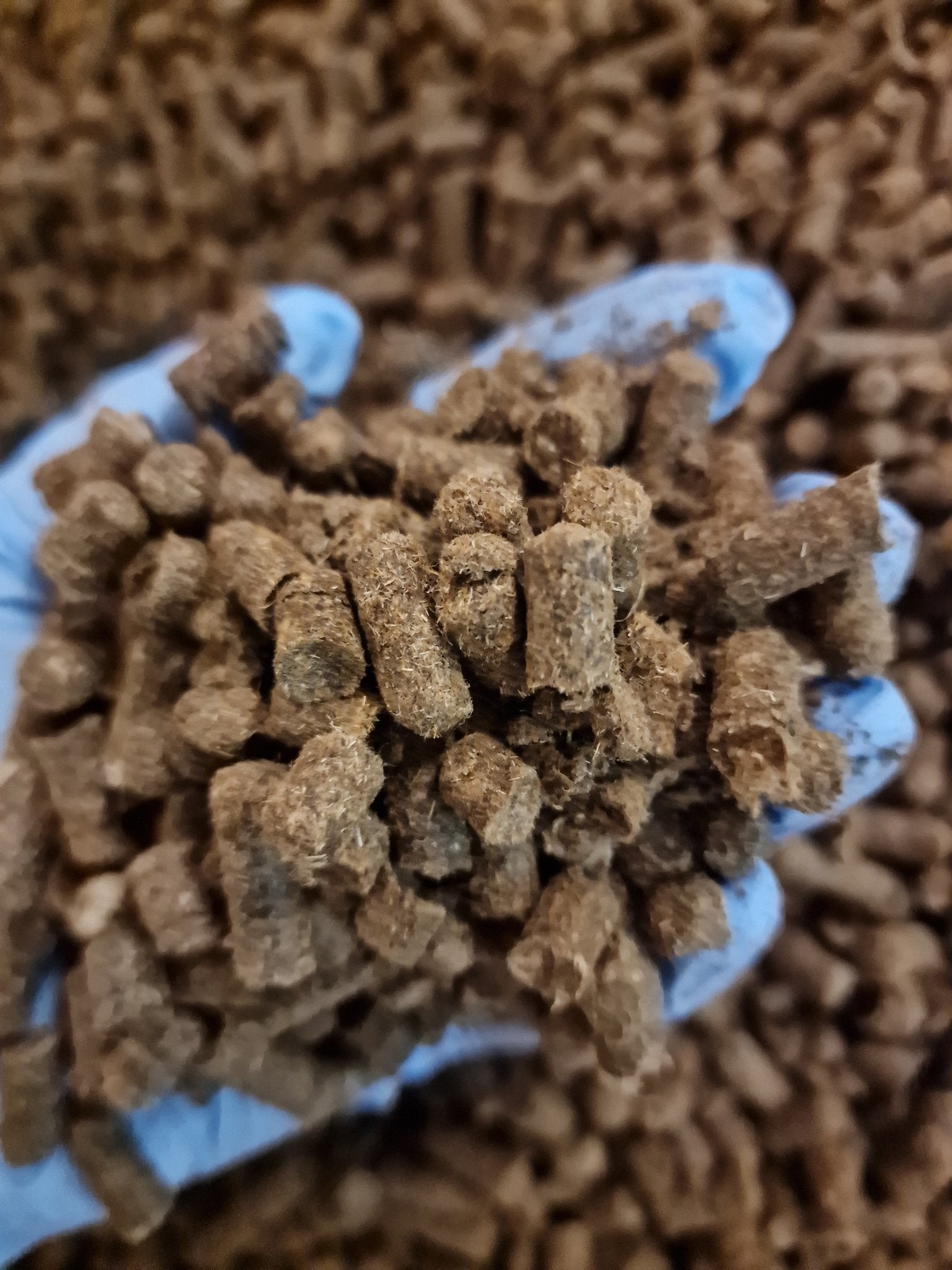 Schafwollpellets - TRUESOIL